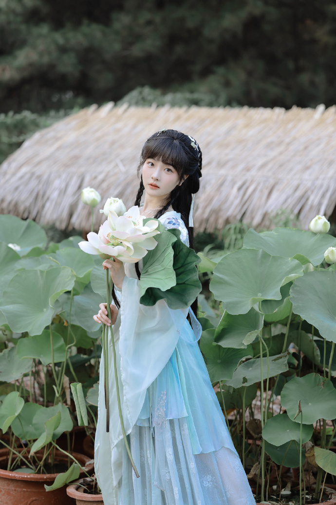 莲花楼