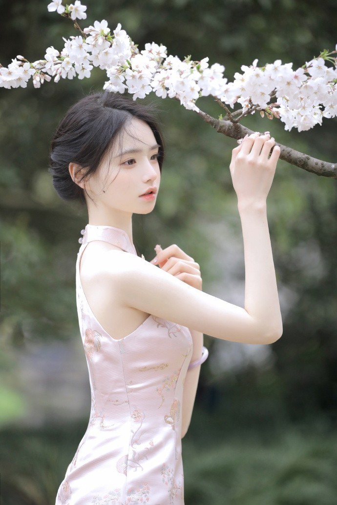 风骚律师 封面